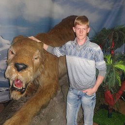 �����, �����������, 37 ���