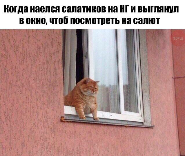  - 26  2016  22:53