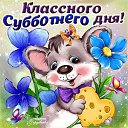 ���� ������, �����-��������� - ��������� 11 ����� 2017 � ������ ������ �� ���� ��� ����� �� �������...�