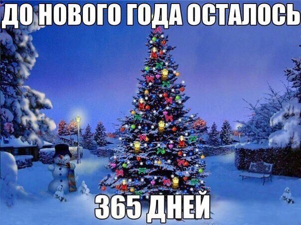    :D - 1  2017  21:24