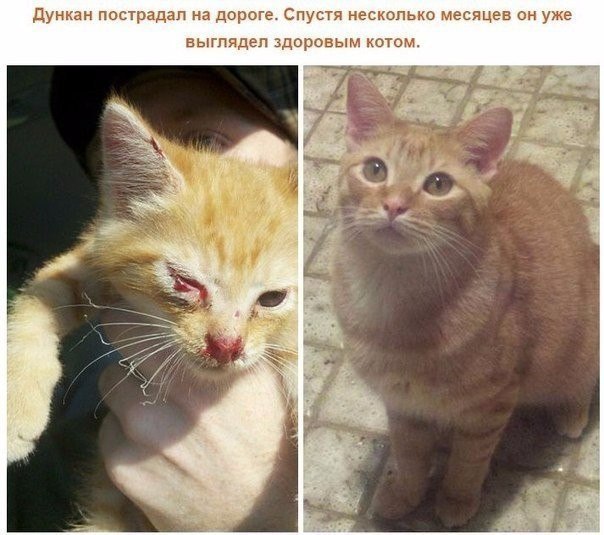  ,    :    . ,  ! - 9