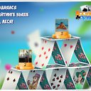  Rasim, , 51  -  1  2016    -