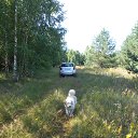 ���� ����, �����, 60 ��� - ��������� 15 ������� 2016 � ������ ������ ��������