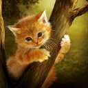 ���� Sebastian, ���������, 43 ���� - ��������� 15 ������� 2016