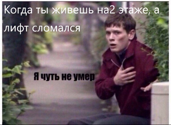  - 6  2017  10:31
