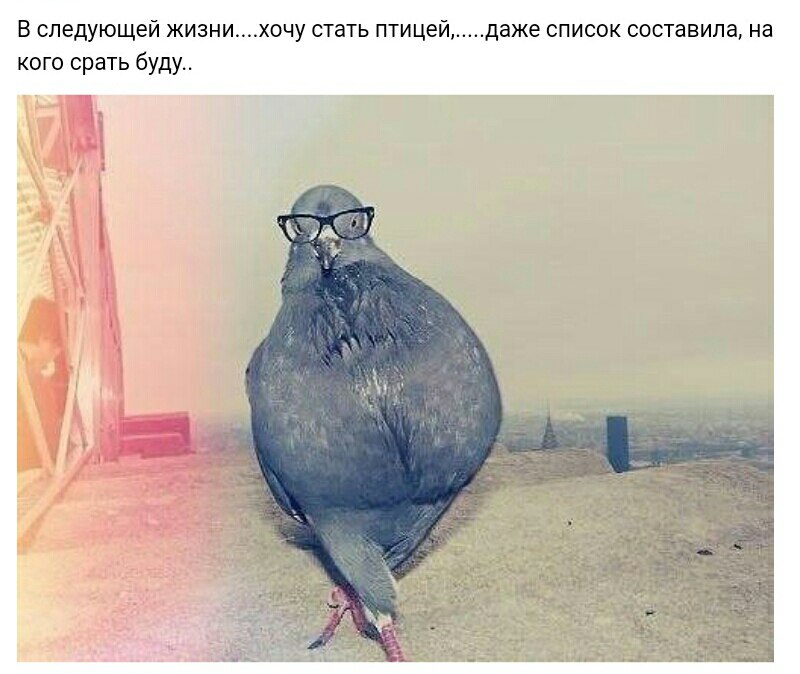 ������ �� ���... - 29 ������ 2017 � 22:23