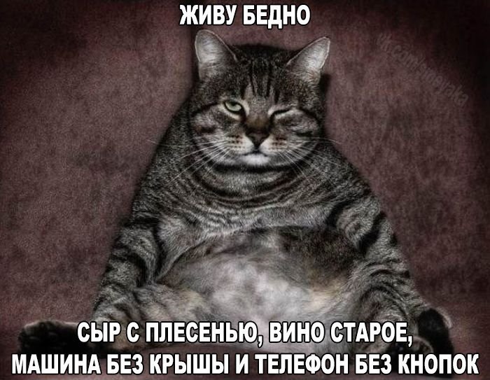    :D - 23  2016  17:35