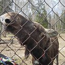 ���� ���������, ������-������, 50 ��� - ��������� 3 ����� 2017 � ������ ���� ����������