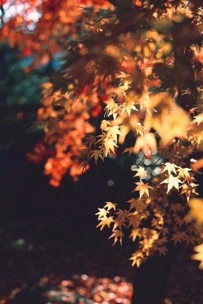 ...   ,   ,   .  ... - 3