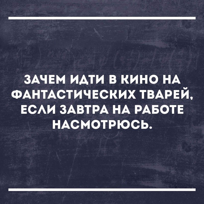 Почему пошли. Зачем идти на фантастических тварей. Зачем идти на фантастических тварей если на работе. Зачем идти в кино на фантастических тварей если. Зачем идти в кино на фантастических тварей если завтра.