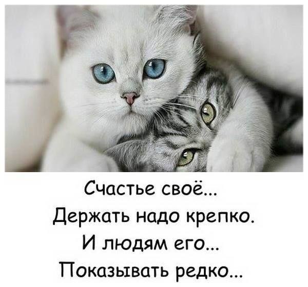 .Life.Is.Life. - 20 ������� 2016 � 12:59