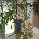 ���� Diana, ����� - ��������� 10 ������� 2016 � ������ �������