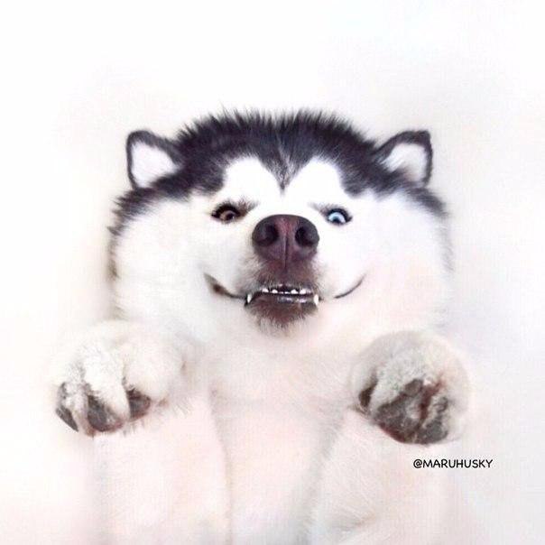... - 2