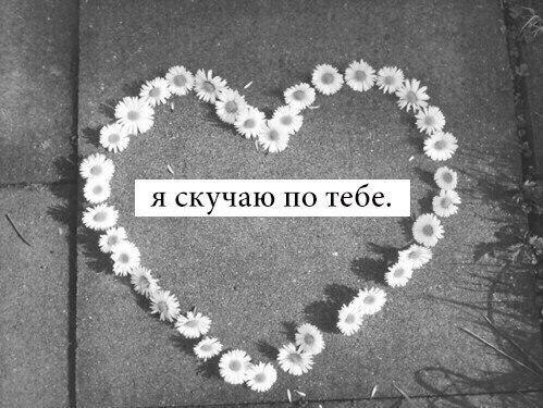 ,     - .