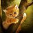 ���� Sebastian, ���������, 44 ���� - ��������� 15 ������� 2016