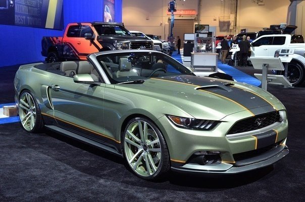 Ford Mustang Customs - 5