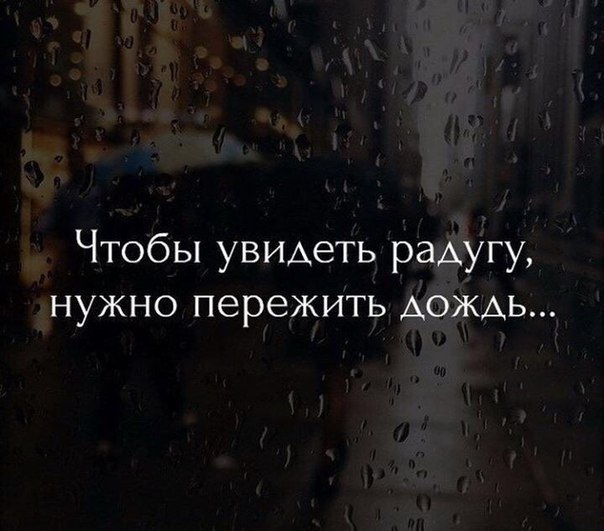  | ,  - 20  2017  12:32