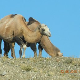 ���� �������, �����������, 49 ��� - ��������� 27 ������ 2016