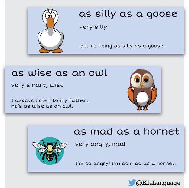ENGLISH IDIOMS. ( )    ,       ... - 8