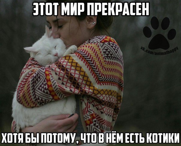    - 29  2017  17:11