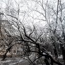 ���� Seleniya, ������, 50 ��� - ��������� 8 ������� 2017 � ������ ������ ��������