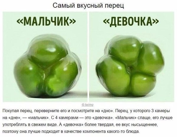 Гениальные хитрости, без которых не обойдется ни одна хозяйка! - 4