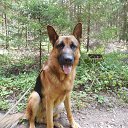 ���� ���, ���������, 34 ���� - ��������� 19 ������ 2017