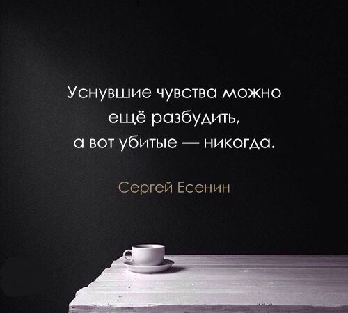  | ,  - 17  2017  05:29