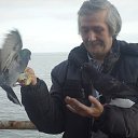 ���� ���������, �������, 70 ��� - ��������� 7 ������� 2016 � ������ ���� ����������