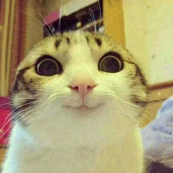  :3