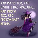 ���� �����, �������� - ��������� 31 ������� 2016 � ������ ���� ����������