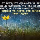 ���� ������� ����������, ���������, 52 ���� - ��������� 25 ������ 2016 � ������ ������ ��������