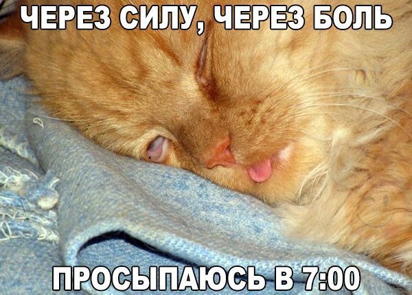    :D - 28  2016  05:31