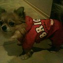 ���� ����, ������� - ��������� 28 ������ 2017 � ������ ���� ����������