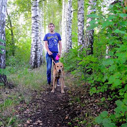 ������, 39 ���, ������