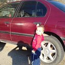 ���� ����, ������, 36 ��� - ��������� 7 ������� 2017 � ������ ���� ����������