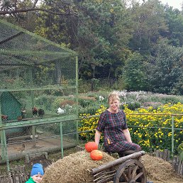 ���� ��������, �����������, 57 ��� - ��������� 27 ������ 2016