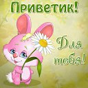 ���� �����, ������ �������� - ��������� 2 ������� 2016 � ������ �������� ��������