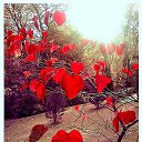 ���� Ilya, ������ - ��������� 1 ������� 2016 � ������ ������