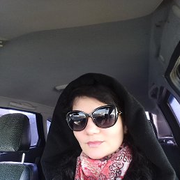 C��������, ������, 40 ���