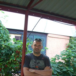 �������, �������, 46 ���