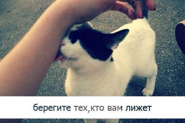    - 10  2017  20:51