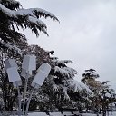  , , 60  -  3  2017     ,28.01.17.