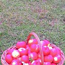 ��� ��������, �������, ������ �������! �� ������� ���� ����������