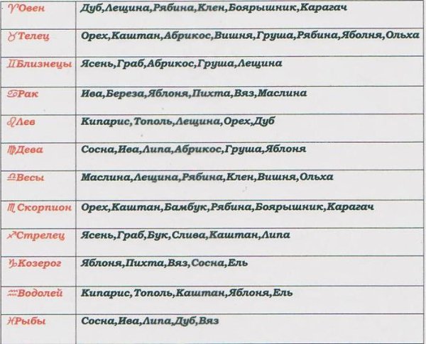 ))).ДЕРЕВЬЯ - ЛЕКАРИ.Современные люди вышли из-под покровительства деревянных домов и поселились в ... - 3