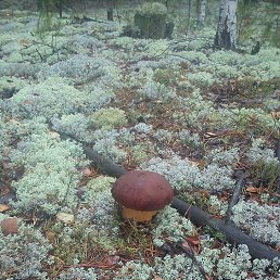 ���� �������, ������ �������� - ��������� 22 �������� 2016