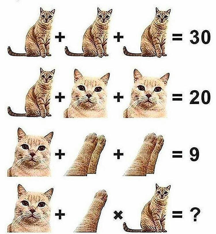 -   )