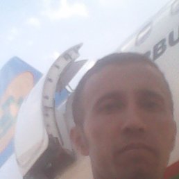Sardor, , 41 