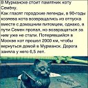 ���� �����, �������� - ��������� 10 ������� 2016 � ������ ���������