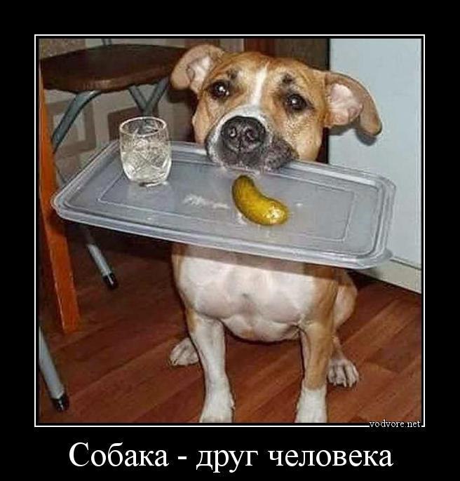 ...  ...